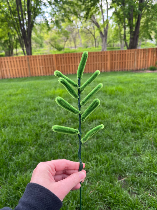 Long leaf